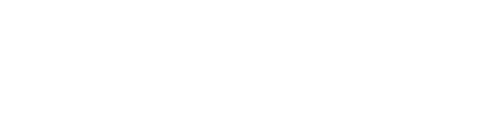 Nivora Digital Studio logo